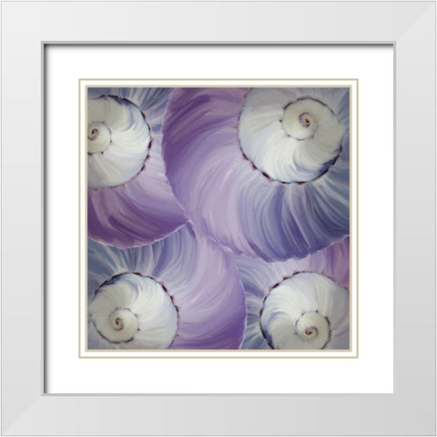 Violet Shell 1 White Modern Wood Framed Art Print with Double Matting by Kimberly, Allen