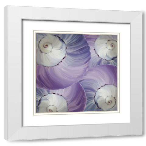 Violet Shell 2 White Modern Wood Framed Art Print with Double Matting by Kimberly, Allen