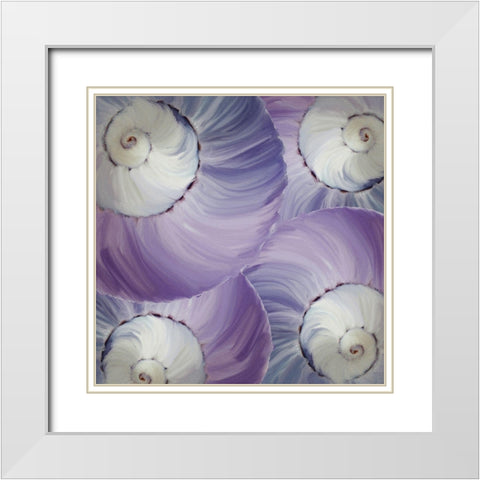 Violet Shell 2 White Modern Wood Framed Art Print with Double Matting by Kimberly, Allen