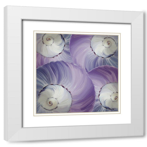 Violet Shell 3 White Modern Wood Framed Art Print with Double Matting by Kimberly, Allen