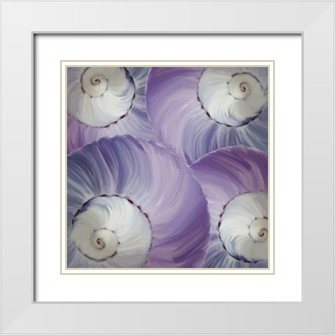 Violet Shell 3 White Modern Wood Framed Art Print with Double Matting by Kimberly, Allen