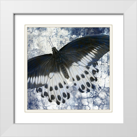 Butterfly Blues 1 White Modern Wood Framed Art Print with Double Matting by Allen, Kimberly