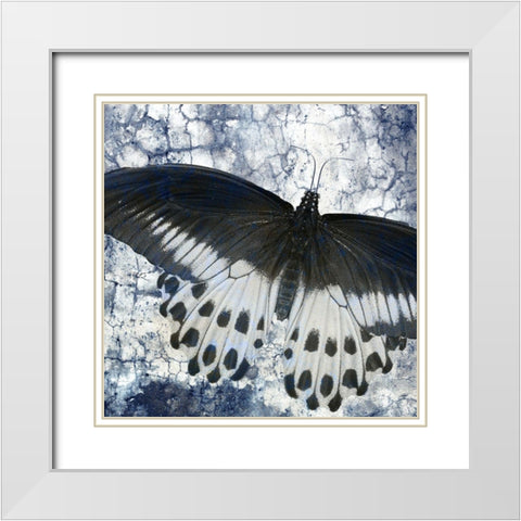 Butterfly Blues 2 White Modern Wood Framed Art Print with Double Matting by Allen, Kimberly