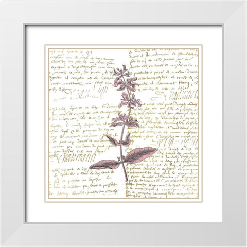 English Blush 2 White Modern Wood Framed Art Print with Double Matting by Kimberly, Allen