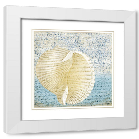Spotted Shell 1 White Modern Wood Framed Art Print with Double Matting by Kimberly, Allen