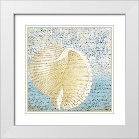 Spotted Shell 1 White Modern Wood Framed Art Print with Double Matting by Kimberly, Allen