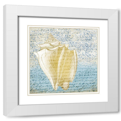 Spotted Shell 3 White Modern Wood Framed Art Print with Double Matting by Kimberly, Allen