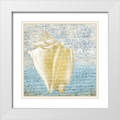 Spotted Shell 3 White Modern Wood Framed Art Print with Double Matting by Kimberly, Allen