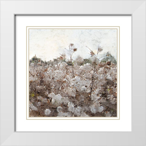 Cotton Field 2 White Modern Wood Framed Art Print with Double Matting by Kimberly, Allen