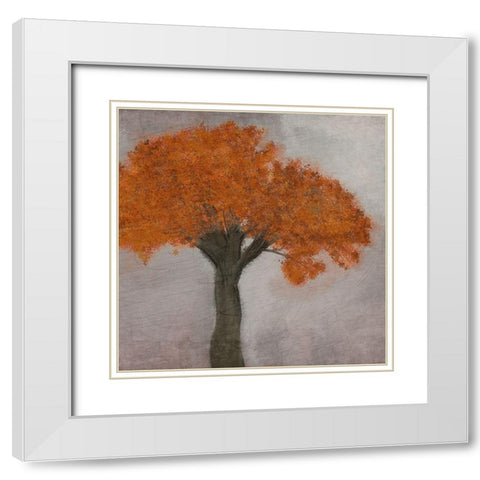 Fall Square 1 White Modern Wood Framed Art Print with Double Matting by Kimberly, Allen