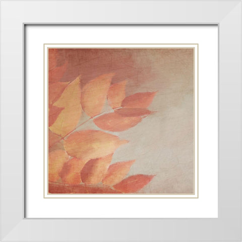 Fall Colors 1 White Modern Wood Framed Art Print with Double Matting by Kimberly, Allen