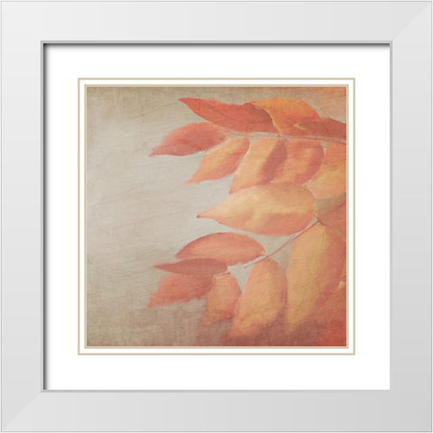 Fall Colors 2 White Modern Wood Framed Art Print with Double Matting by Kimberly, Allen