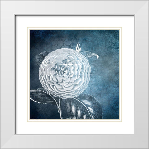 White Bloom 1 White Modern Wood Framed Art Print with Double Matting by Kimberly, Allen