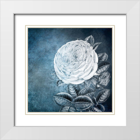 White Bloom 2 White Modern Wood Framed Art Print with Double Matting by Kimberly, Allen
