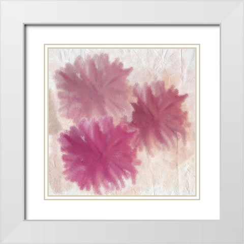 Pom Pom 1 White Modern Wood Framed Art Print with Double Matting by Kimberly, Allen