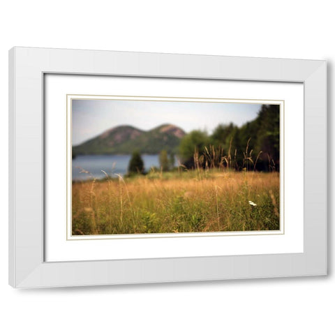 Grassy Field 1 White Modern Wood Framed Art Print with Double Matting by Colberg, Lisa