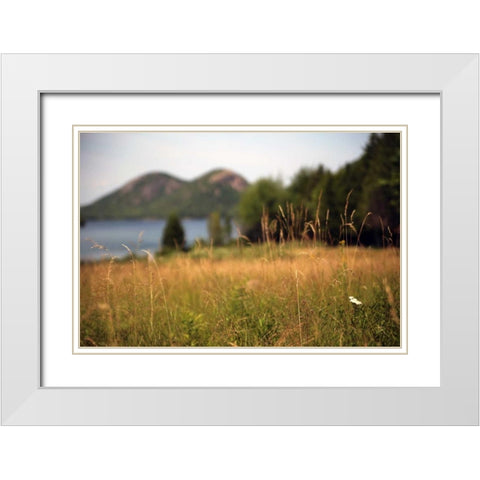 Grassy Field 1 White Modern Wood Framed Art Print with Double Matting by Colberg, Lisa