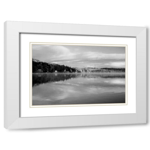 Reflections of Summer BW 2B White Modern Wood Framed Art Print with Double Matting by Grey, Jace