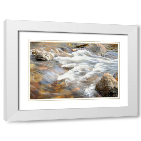 In Motion 2 White Modern Wood Framed Art Print with Double Matting by Grey, Jace