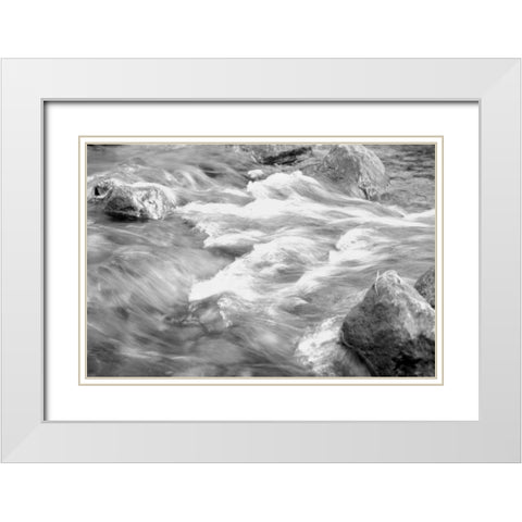 In Motion BW 2B White Modern Wood Framed Art Print with Double Matting by Grey, Jace