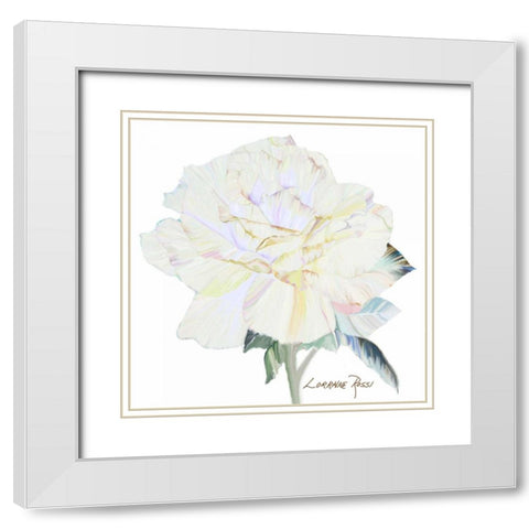 Peace Rose 1 White Modern Wood Framed Art Print with Double Matting by Rossi, Lorraine