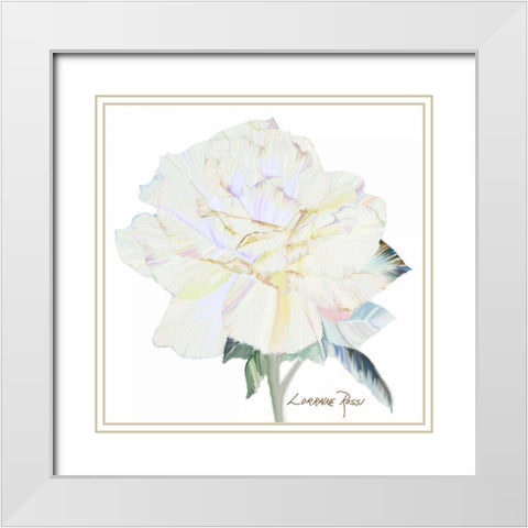 Peace Rose 1 White Modern Wood Framed Art Print with Double Matting by Rossi, Lorraine