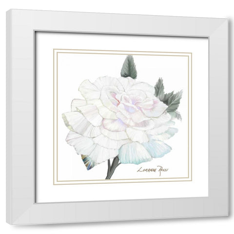 Peace Rose 2 White Modern Wood Framed Art Print with Double Matting by Rossi, Lorraine