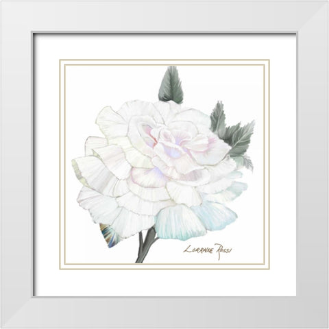 Peace Rose 2 White Modern Wood Framed Art Print with Double Matting by Rossi, Lorraine
