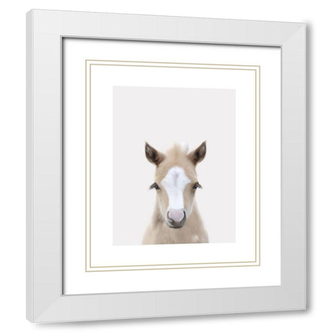 Baby Horse 1 White Modern Wood Framed Art Print with Double Matting by Straatsma, Leah
