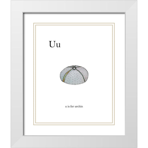 U is For Urchin White Modern Wood Framed Art Print with Double Matting by Straatsma, Leah