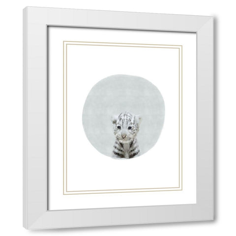 Baby White Tiger White Modern Wood Framed Art Print with Double Matting by Straatsma, Leah