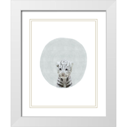 Baby White Tiger White Modern Wood Framed Art Print with Double Matting by Straatsma, Leah