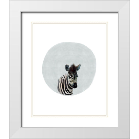 Baby Zebra White Modern Wood Framed Art Print with Double Matting by Straatsma, Leah