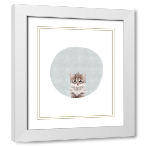 Baby Circle Kitten White Modern Wood Framed Art Print with Double Matting by Straatsma, Leah