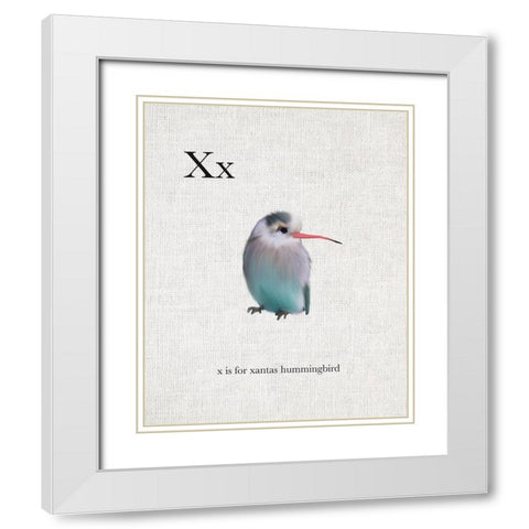 X is for Xantas Hummingbird White Modern Wood Framed Art Print with Double Matting by Straatsma, Leah