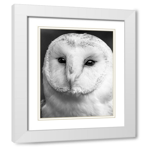 Owl Close Up White Modern Wood Framed Art Print with Double Matting by Straatsma, Leah