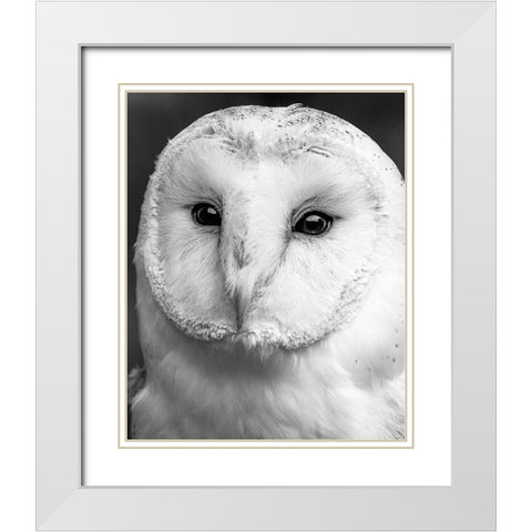 Owl Close Up White Modern Wood Framed Art Print with Double Matting by Straatsma, Leah