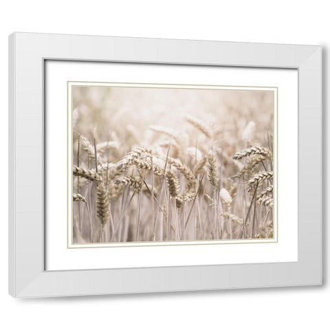 Mute Wheat Field White Modern Wood Framed Art Print with Double Matting by Straatsma, Leah