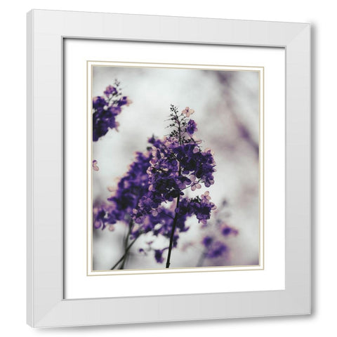 Purple Dried Hydrangea White Modern Wood Framed Art Print with Double Matting by Straatsma, Leah