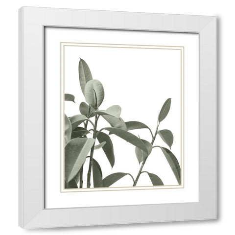 Pale Green Leaves White Modern Wood Framed Art Print with Double Matting by Straatsma, Leah