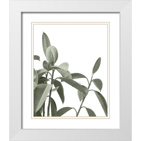 Pale Green Leaves White Modern Wood Framed Art Print with Double Matting by Straatsma, Leah