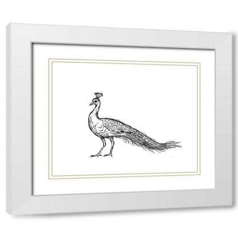 Black Peacock White Modern Wood Framed Art Print with Double Matting by Straatsma, Leah