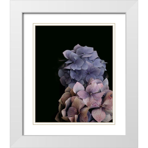 Moody Hydrangeas White Modern Wood Framed Art Print with Double Matting by Straatsma, Leah