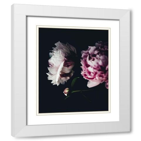 Close Up Peonies Moody White Modern Wood Framed Art Print with Double Matting by Straatsma, Leah