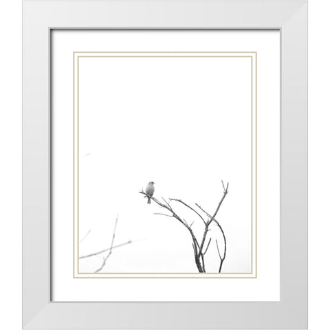 Bleached Branch and Bird White Modern Wood Framed Art Print with Double Matting by Straatsma, Leah