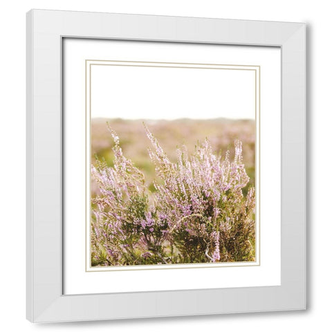 Bleached Lavender Fields White Modern Wood Framed Art Print with Double Matting by Straatsma, Leah