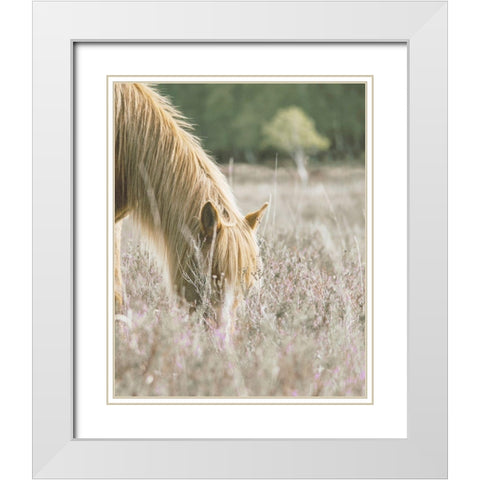 Golden Horse In Meadow White Modern Wood Framed Art Print with Double Matting by Straatsma, Leah