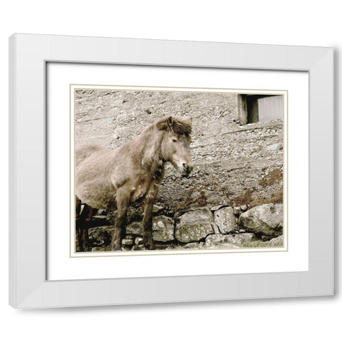 Brown Horse Rock Barn White Modern Wood Framed Art Print with Double Matting by Straatsma, Leah