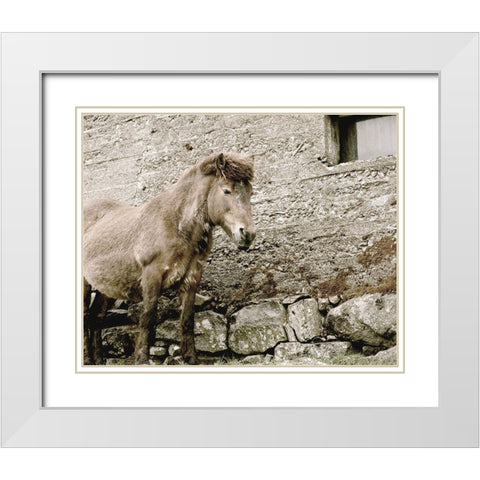 Brown Horse Rock Barn White Modern Wood Framed Art Print with Double Matting by Straatsma, Leah