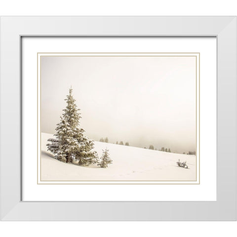 Hazy Winterland White Modern Wood Framed Art Print with Double Matting by Straatsma, Leah